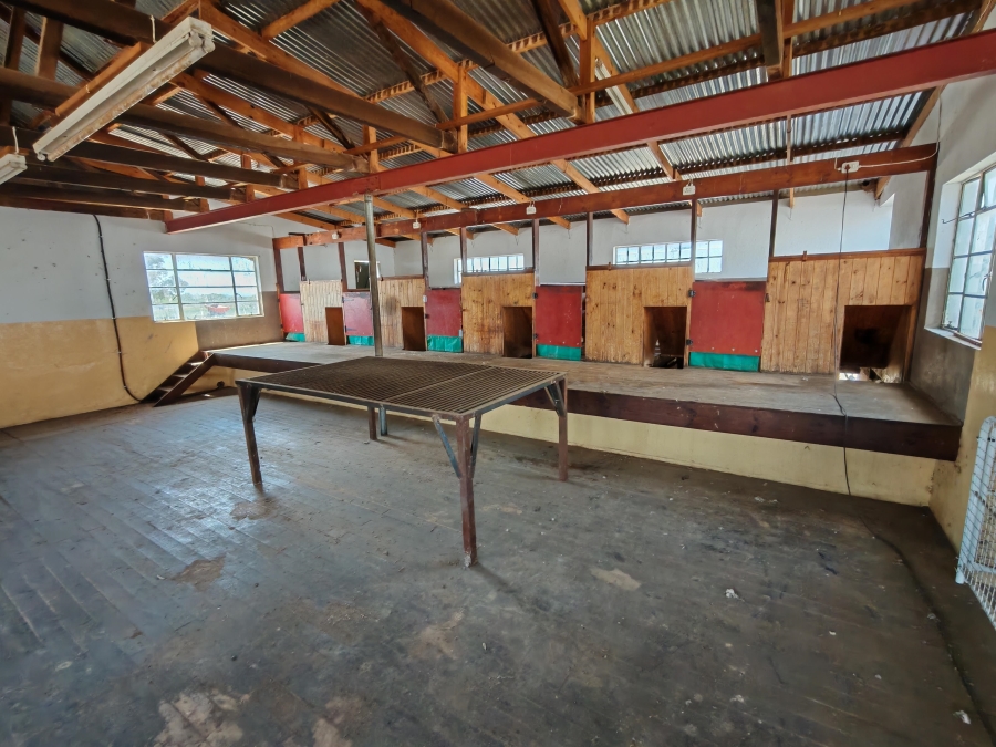 4 Bedroom Property for Sale in Steynsburg Eastern Cape